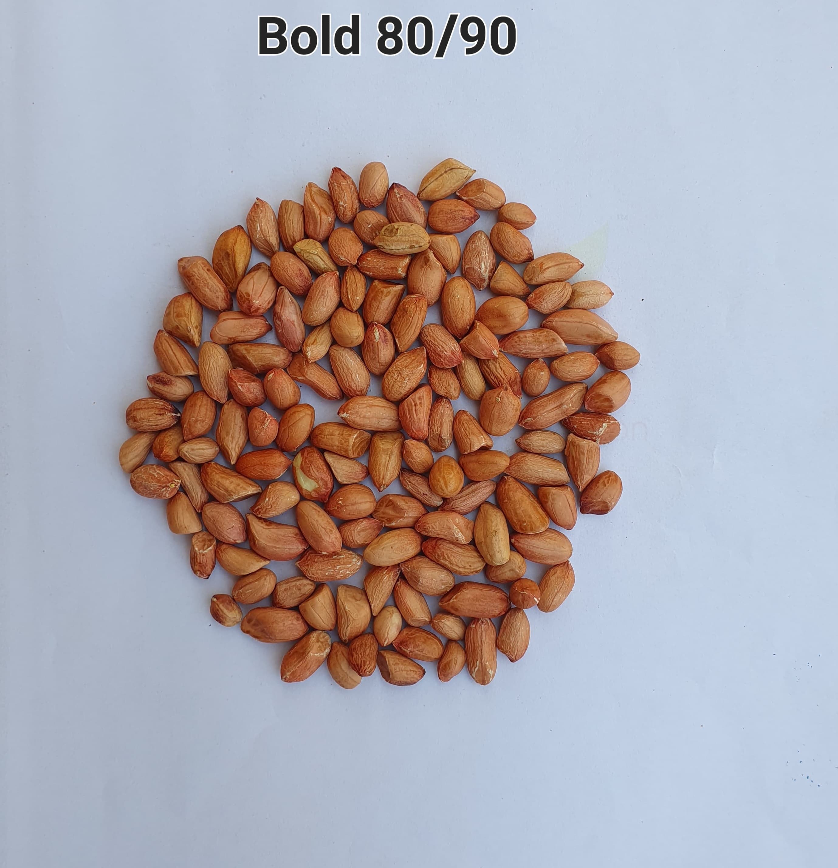 Peanut Seeds Bold